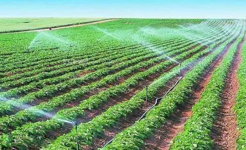 爆操0农田高 效节水灌溉